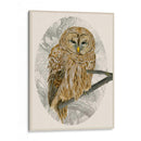 Búho Barrado I - Melissa Wang | Cuadro decorativo de Canvas Lab
