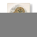 Búho Barrado I - Melissa Wang | Cuadro decorativo de Canvas Lab