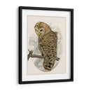 Búho Barrado Ii - Melissa Wang | Cuadro decorativo de Canvas Lab