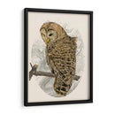 Búho Barrado Ii - Melissa Wang | Cuadro decorativo de Canvas Lab