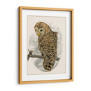 Búho Barrado Ii - Melissa Wang | Cuadro decorativo de Canvas Lab