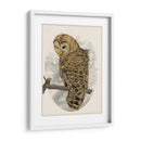 Búho Barrado Ii - Melissa Wang | Cuadro decorativo de Canvas Lab