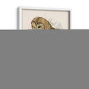 Búho Barrado Ii - Melissa Wang | Cuadro decorativo de Canvas Lab