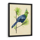 Turaco Verde I - Melissa Wang | Cuadro decorativo de Canvas Lab