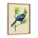 Turaco Verde I - Melissa Wang | Cuadro decorativo de Canvas Lab