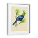 Turaco Verde I - Melissa Wang | Cuadro decorativo de Canvas Lab