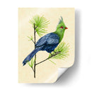 Turaco Verde I - Melissa Wang | Cuadro decorativo de Canvas Lab