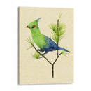 Verde Turaco Ii - Melissa Wang | Cuadro decorativo de Canvas Lab