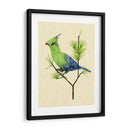 Verde Turaco Ii - Melissa Wang | Cuadro decorativo de Canvas Lab