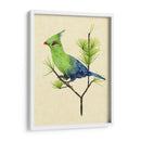 Verde Turaco Ii - Melissa Wang | Cuadro decorativo de Canvas Lab
