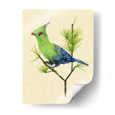 Verde Turaco Ii - Melissa Wang | Cuadro decorativo de Canvas Lab