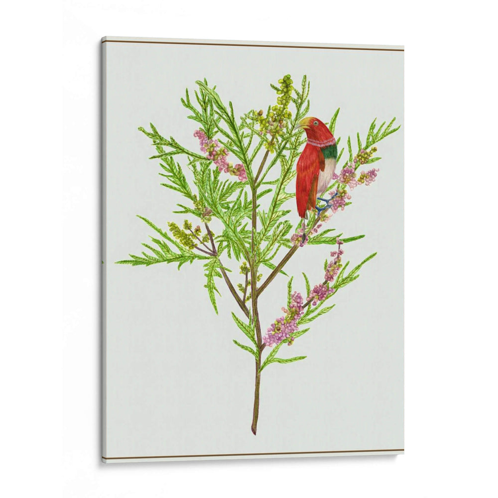 Urtica Cannabina I - Melissa Wang | Cuadro decorativo de Canvas Lab