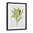 Urtica Cannabina I - Melissa Wang | Cuadro decorativo de Canvas Lab