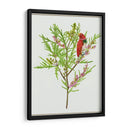 Urtica Cannabina I - Melissa Wang | Cuadro decorativo de Canvas Lab