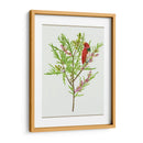 Urtica Cannabina I - Melissa Wang | Cuadro decorativo de Canvas Lab