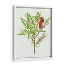 Urtica Cannabina I - Melissa Wang | Cuadro decorativo de Canvas Lab