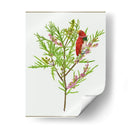 Urtica Cannabina I - Melissa Wang | Cuadro decorativo de Canvas Lab