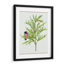 Urtica Cannabina Ii - Melissa Wang | Cuadro decorativo de Canvas Lab