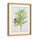 Urtica Cannabina Ii - Melissa Wang | Cuadro decorativo de Canvas Lab