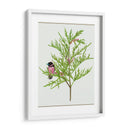 Urtica Cannabina Ii - Melissa Wang | Cuadro decorativo de Canvas Lab