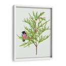 Urtica Cannabina Ii - Melissa Wang | Cuadro decorativo de Canvas Lab