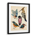 Colección De Aves I - Melissa Wang | Cuadro decorativo de Canvas Lab