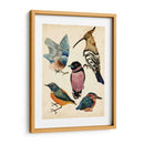 Colección De Aves I - Melissa Wang | Cuadro decorativo de Canvas Lab