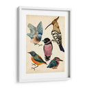 Colección De Aves I - Melissa Wang | Cuadro decorativo de Canvas Lab