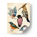 Colección De Aves I - Melissa Wang | Cuadro decorativo de Canvas Lab