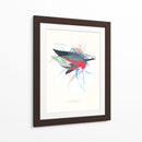 LIFEFORMS X - Adrián Gracia | Cuadro decorativo de Canvas Lab