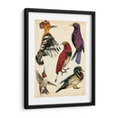 Colección De Aves Ii - Melissa Wang | Cuadro decorativo de Canvas Lab