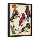 Colección De Aves Ii - Melissa Wang | Cuadro decorativo de Canvas Lab