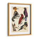 Colección De Aves Ii - Melissa Wang | Cuadro decorativo de Canvas Lab