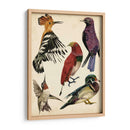Colección De Aves Ii - Melissa Wang | Cuadro decorativo de Canvas Lab