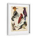 Colección De Aves Ii - Melissa Wang | Cuadro decorativo de Canvas Lab