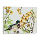 Viejo En La Primavera Ii - Melissa Wang | Cuadro decorativo de Canvas Lab