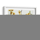 Viejo En La Primavera Ii - Melissa Wang | Cuadro decorativo de Canvas Lab