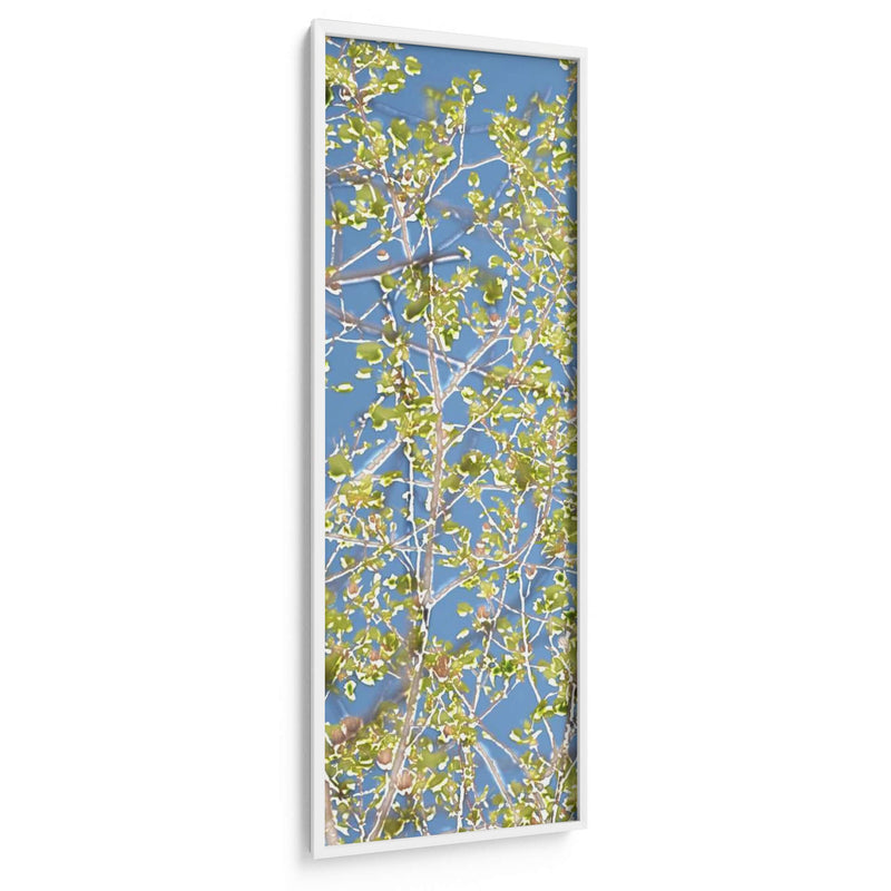 Poplars De Primavera I - Sharon Chandler | Cuadro decorativo de Canvas Lab