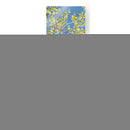 Poplars De Primavera I - Sharon Chandler | Cuadro decorativo de Canvas Lab