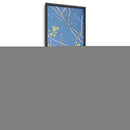 Poplars De Primavera Iv - Sharon Chandler | Cuadro decorativo de Canvas Lab