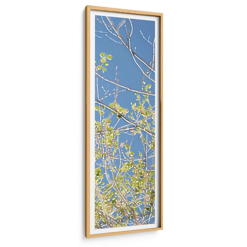 Poplars De Primavera Iv - Sharon Chandler | Cuadro decorativo de Canvas Lab