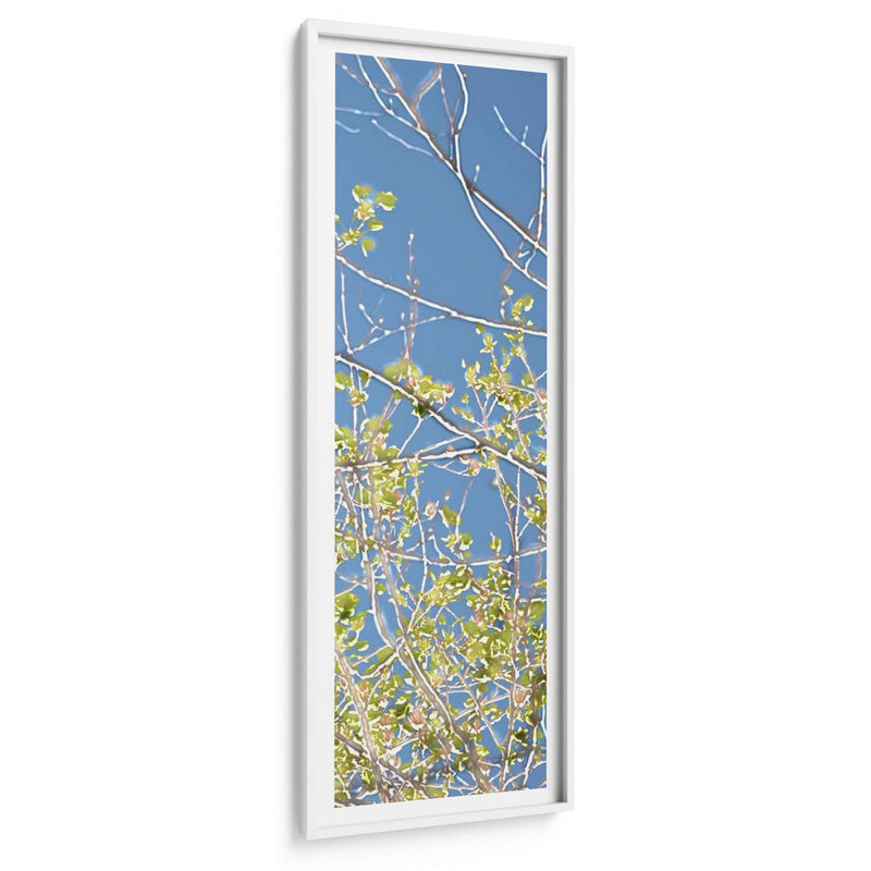 Poplars De Primavera Iv - Sharon Chandler | Cuadro decorativo de Canvas Lab