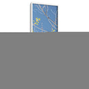Poplars De Primavera Iv - Sharon Chandler | Cuadro decorativo de Canvas Lab