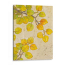 Giro Ii - Tim OToole | Cuadro decorativo de Canvas Lab