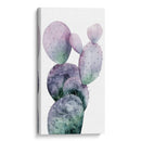 Cactus Púrpura I - Grace Popp | Cuadro decorativo de Canvas Lab