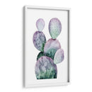 Cactus Púrpura Ii - Grace Popp | Cuadro decorativo de Canvas Lab