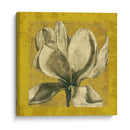 Ecru Magnolia I - Jennifer Goldberger | Cuadro decorativo de Canvas Lab