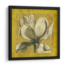 Ecru Magnolia I - Jennifer Goldberger | Cuadro decorativo de Canvas Lab