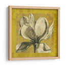 Ecru Magnolia I - Jennifer Goldberger | Cuadro decorativo de Canvas Lab