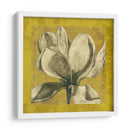 Ecru Magnolia I - Jennifer Goldberger | Cuadro decorativo de Canvas Lab